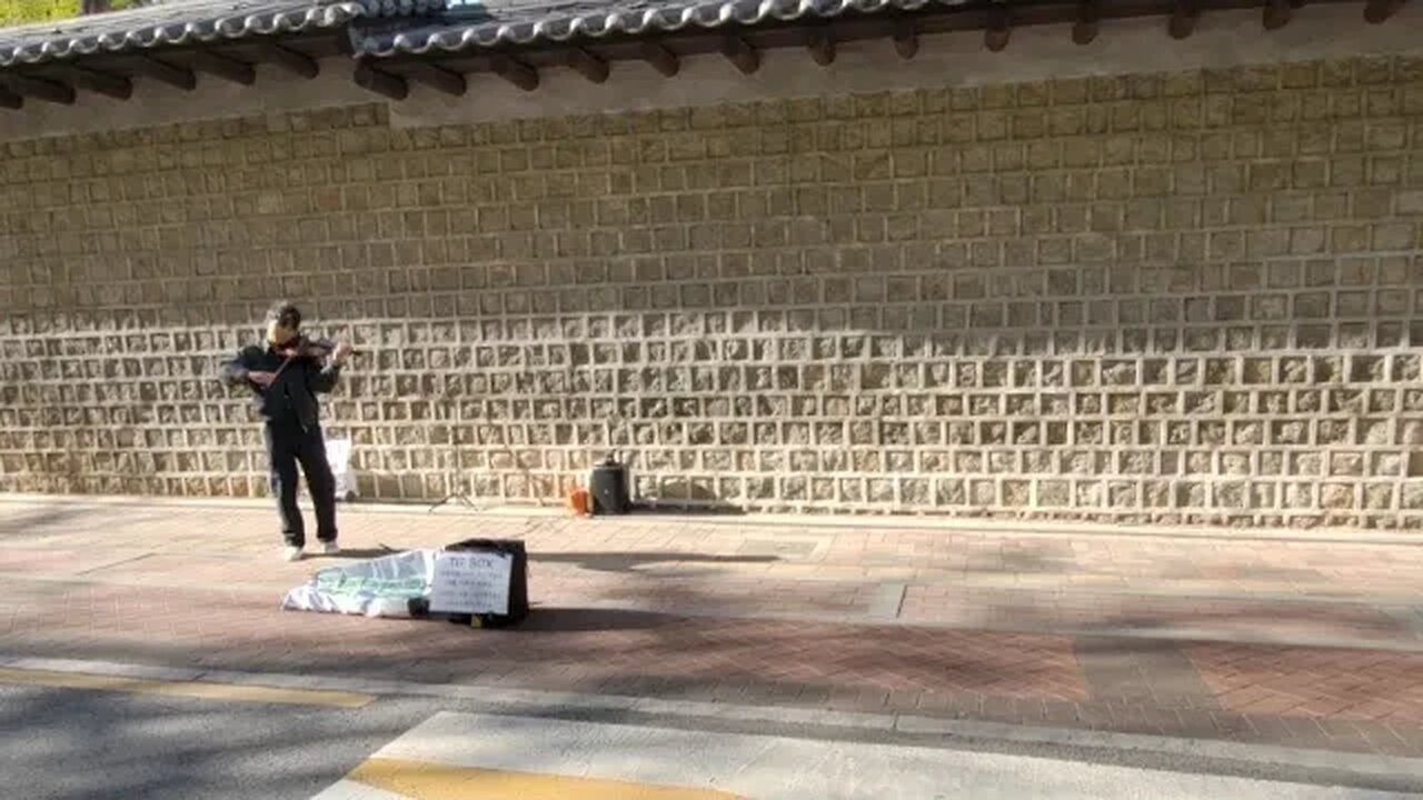 탁보니 덕수궁돌담길