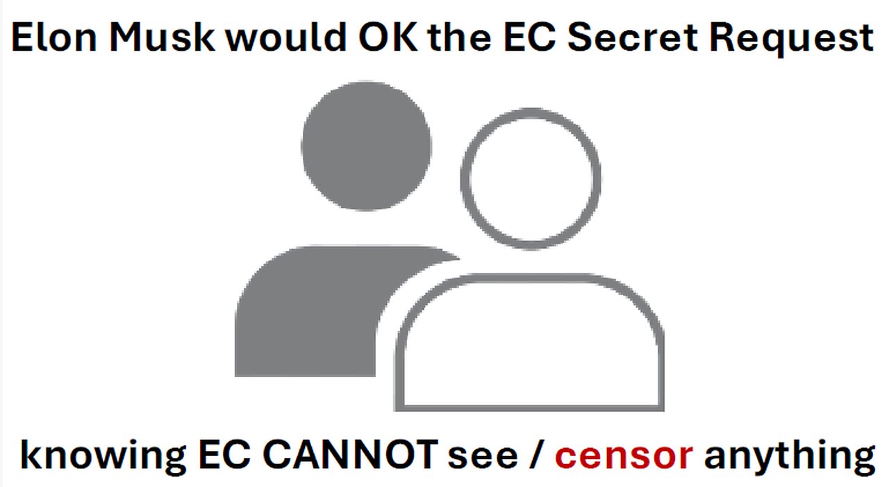 Elon Musk and the EC Secret Request