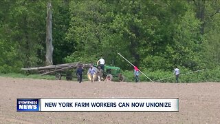 Appellate court: New York farmworkers have right to unionize