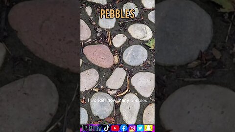 How To Use Pebbles In A Sentence