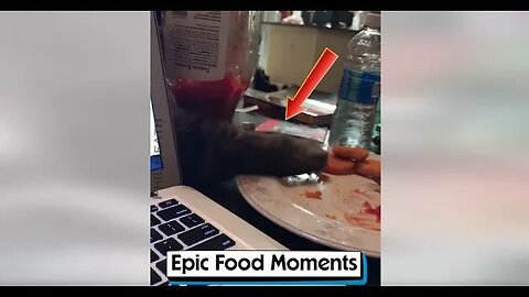 Epic Food Moments