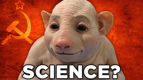 Top 10 Insane Scientists From History