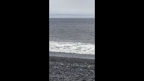 Whale sighting in St. Vincent’s, NL