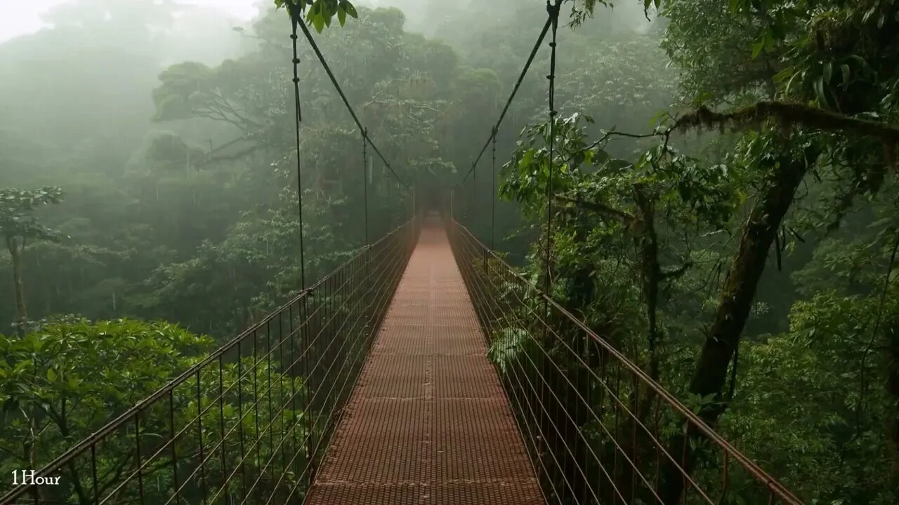 rainstorm and thunder relaxing sounds 1 hour