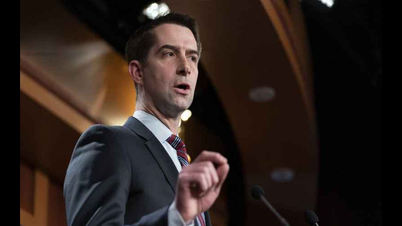 Tom Cotton Demolishes Jonathan Karl After the 'Journalist' Gaslights About Kamala Harris