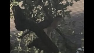 Cooper's Hawk outside in front of my porch to the right. BigCityBird