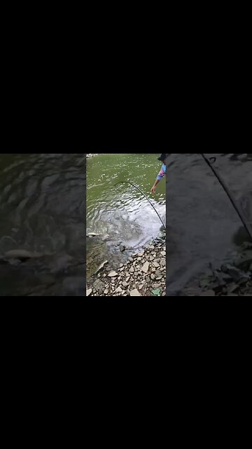 Catfish on a crank bait??!!! #short #shorts #youtubeshorts