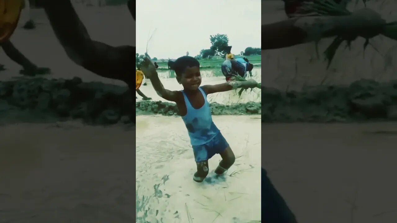 फुल मस्ती ।।Comedy।।#comedy #paddy #धान की खेती