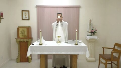 November 17- Mass of Saint Elizabeth of Hungary