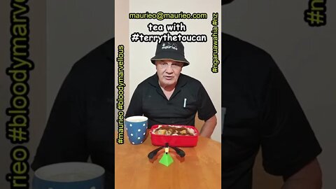 maurieo #shorts TEA WITH #toucanterry CHEERS