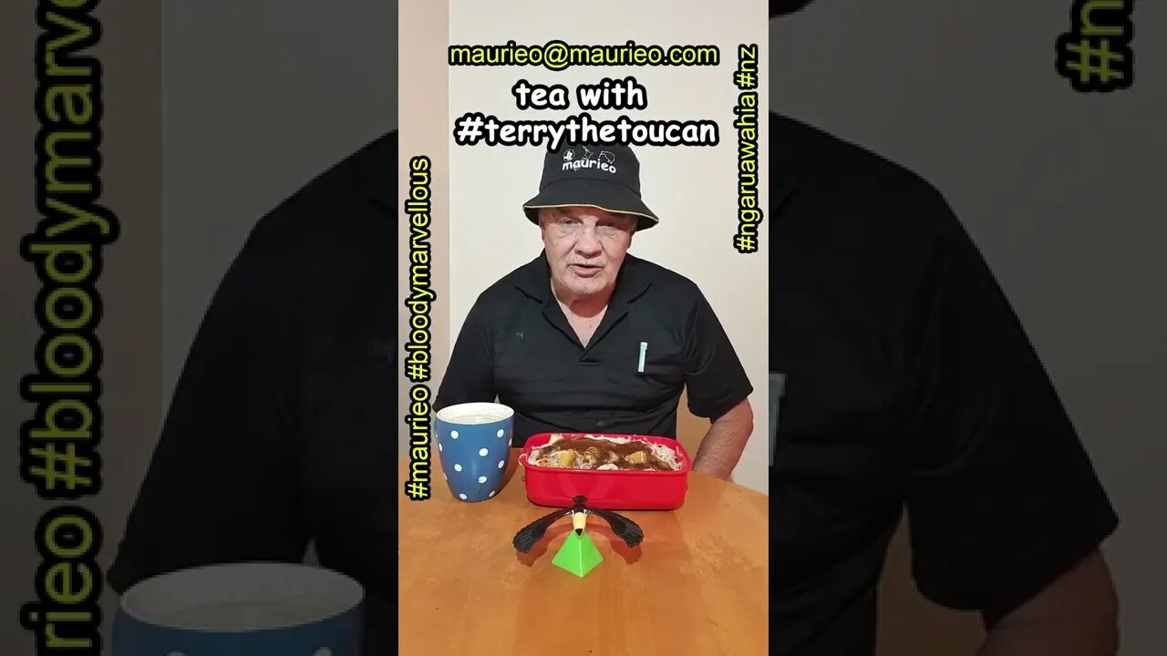 maurieo #shorts TEA WITH #toucanterry CHEERS