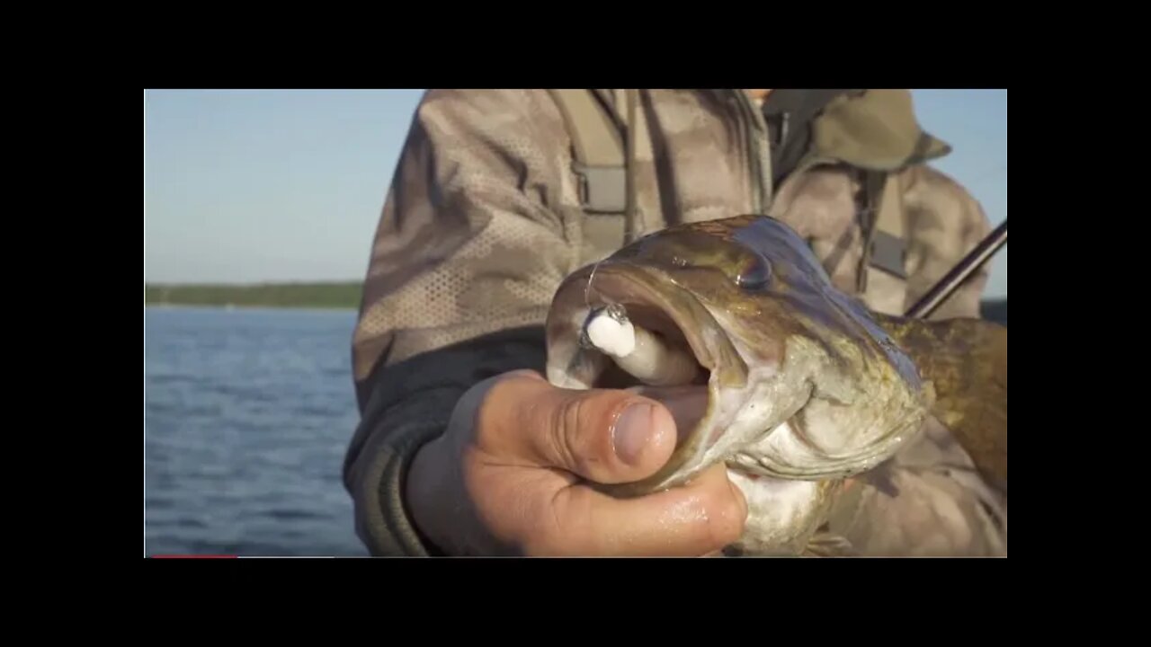 How to Throw Finesse Swimbaits for Big Smallmouth