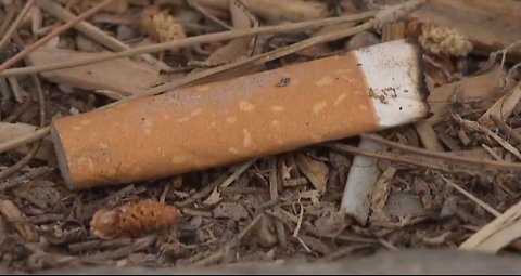 New proposal limits smoking in North Las Vegas parks