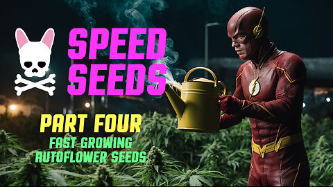 Early Miss Autoflower - Part 4 - Spider Farmer SF2000