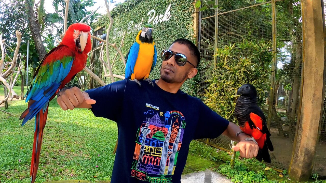 Making Friends at The Bali Bird Park
