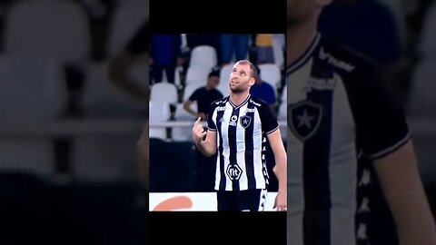 🔥🔥🔥OBRIGADA, CAPITAN! #botafogo #brasileirão