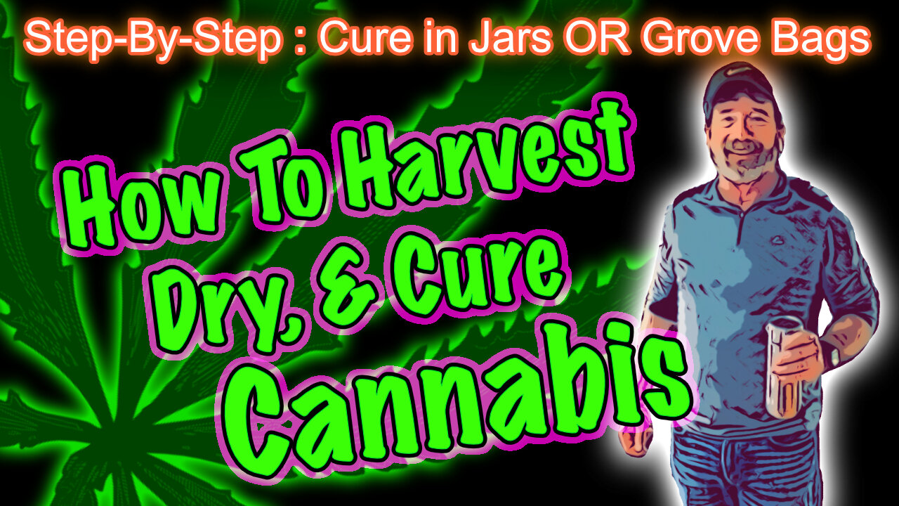 How To Harvest Cannabis, Cut, Hang, Dry, Trim & Cure Cannabis in Jars or Grove Bags - Step By Step!