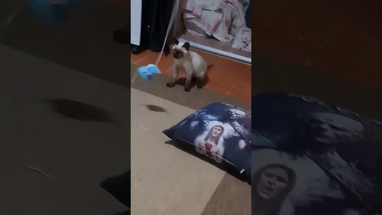 Wretched little bastard is leaning how to have fun