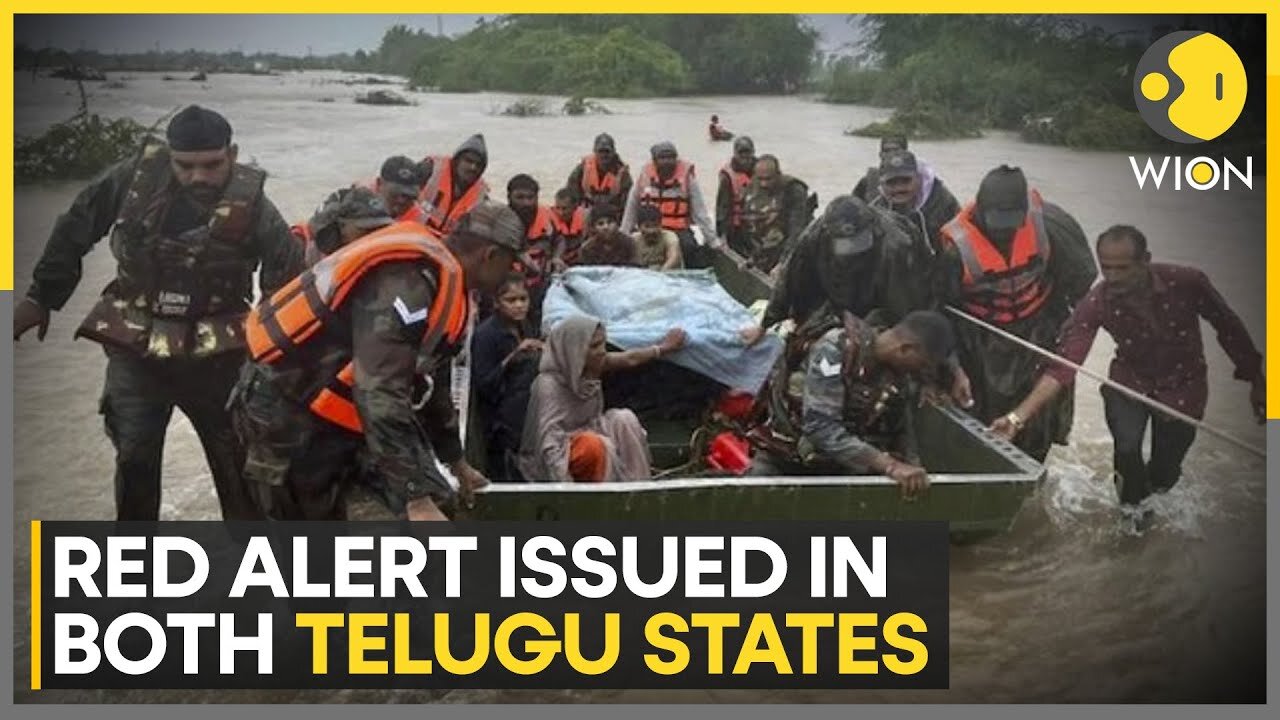 Andhra Pradesh: Vijayawada records highest rainfall in two decades | English News | WION