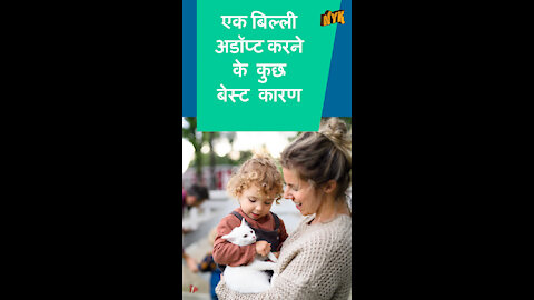 आपको एक बिल्ली क्यो अडॉप्ट करनी चाहिये ? *