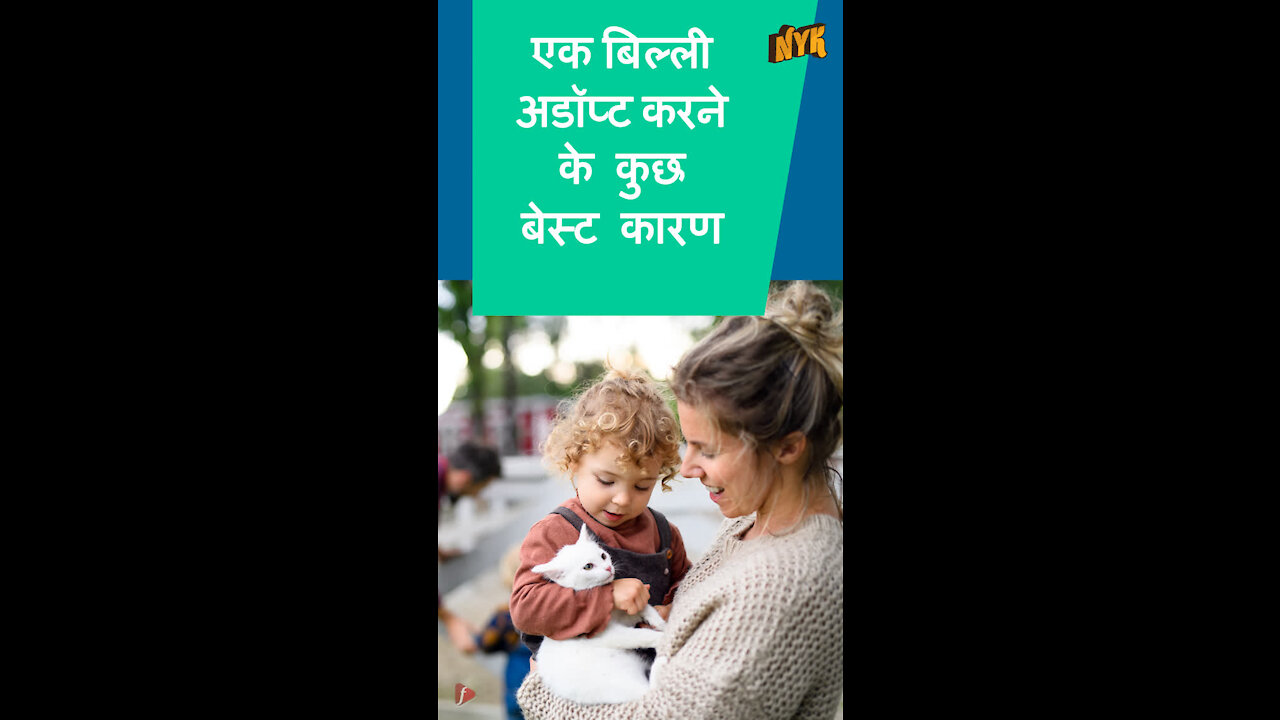 आपको एक बिल्ली क्यो अडॉप्ट करनी चाहिये ? *