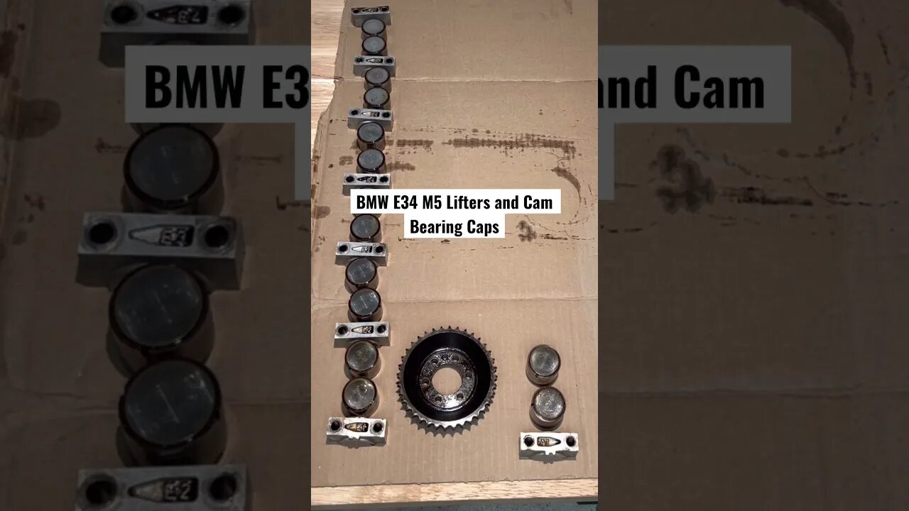 BMW E34 M5 Lifters and Cam Bearing Caps #bmw #mechanic #bmwe34 #bmwm5 #diy #restoration #automotive