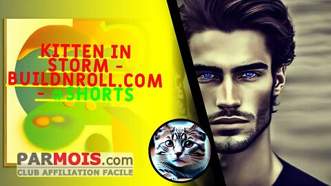 Kitten in storm - BuildNRoll.com - #shorts