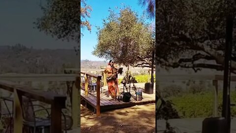 "Mercy" Ava Lemert at Story Winery 10/9/22