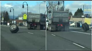 Camion perde una ruota mentre è in strada!