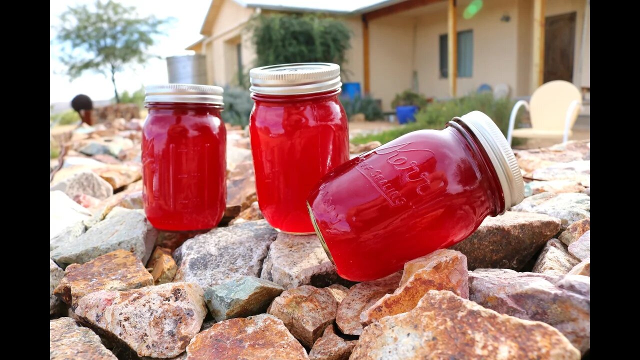 Prickly Pear Jelly - How to make