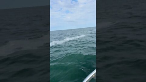 Wind streaks #fishing #fishingmethods