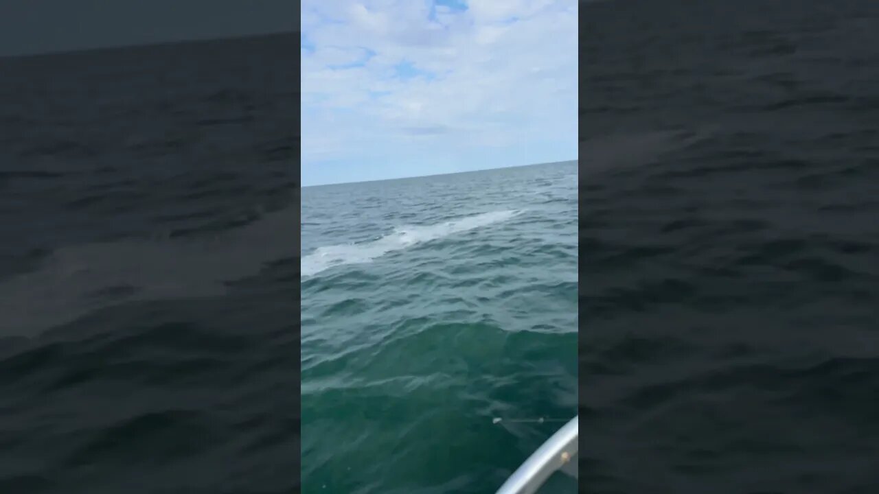 Wind streaks #fishing #fishingmethods