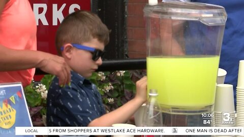 Community lemonade stands aid local organizations