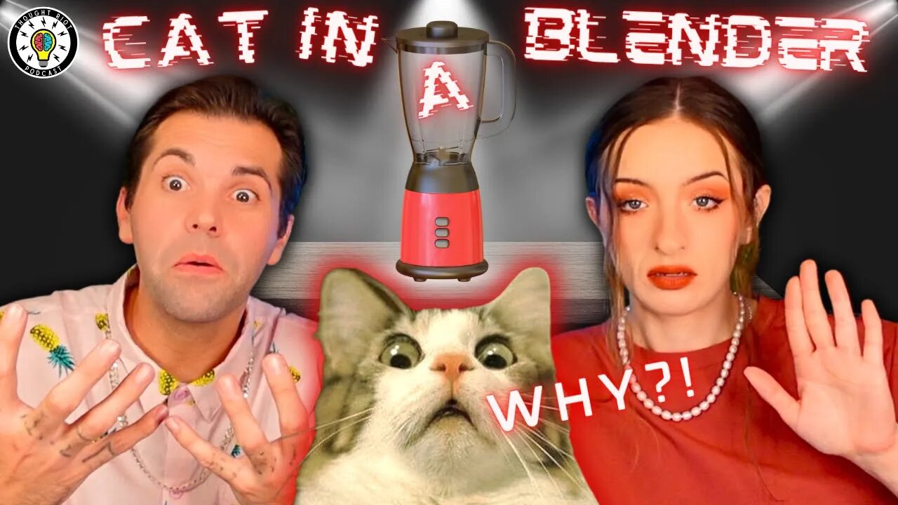 End Animal Abuse...Cat In A Blender Is Horrible #new #cat #animals