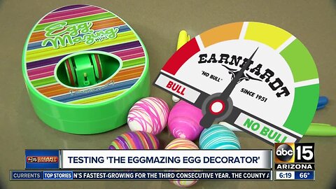 Bull or No Bull: The EggMazing Egg Decorator