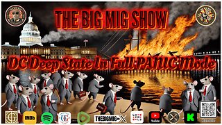 D.C Deep State in Full Panic Mode |EP422