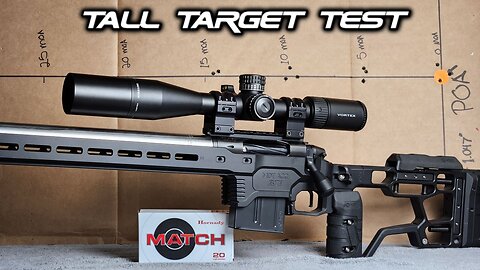 Tall target test with new precision 6.5cm bolt action