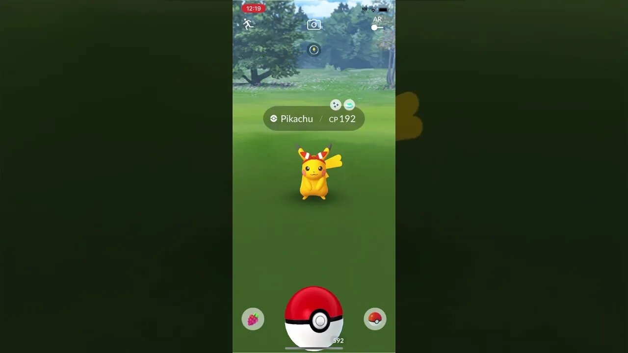 Shiny Compilation