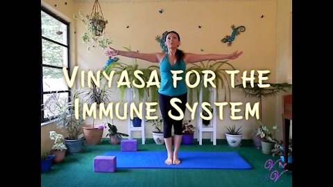 Vinyasa for the Immune System