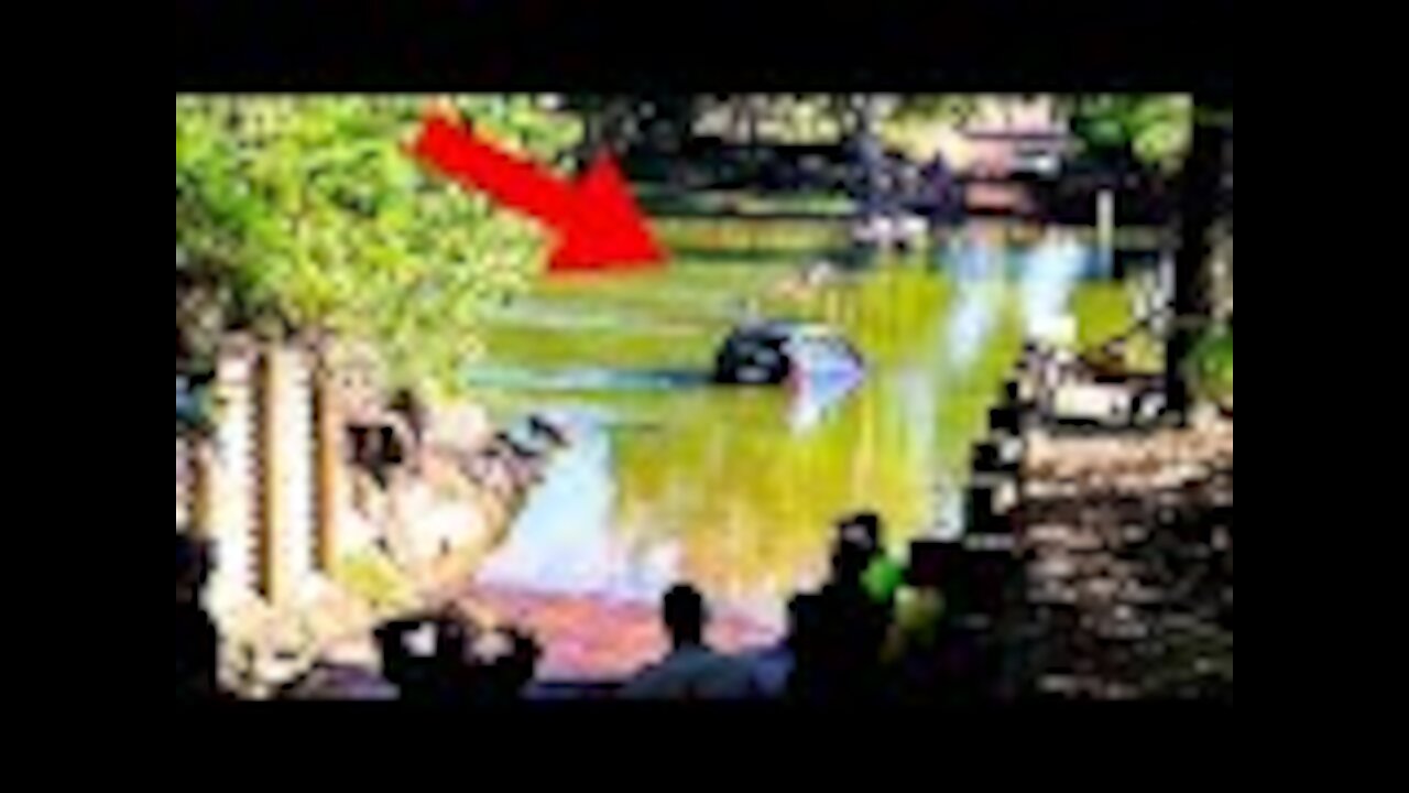 Man Swims From Car In Lake, Then Realizes He's Not Alone