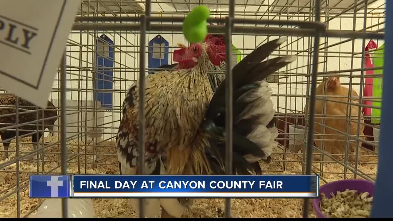 Final day at the Canyon County Fair