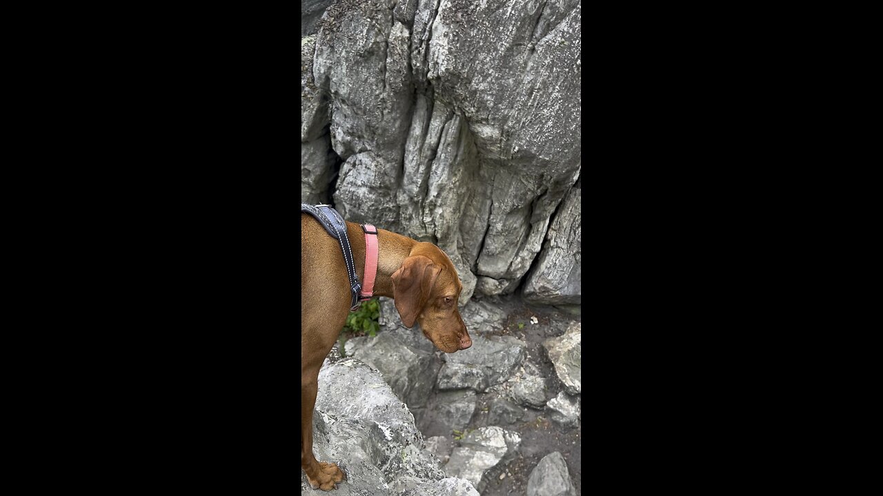 Dragon’s Tooth Trail, VA