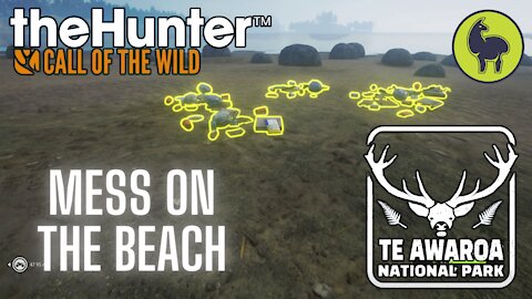 The Hunter: Call of the Wild, Mess on the Beach, Te Awaroa