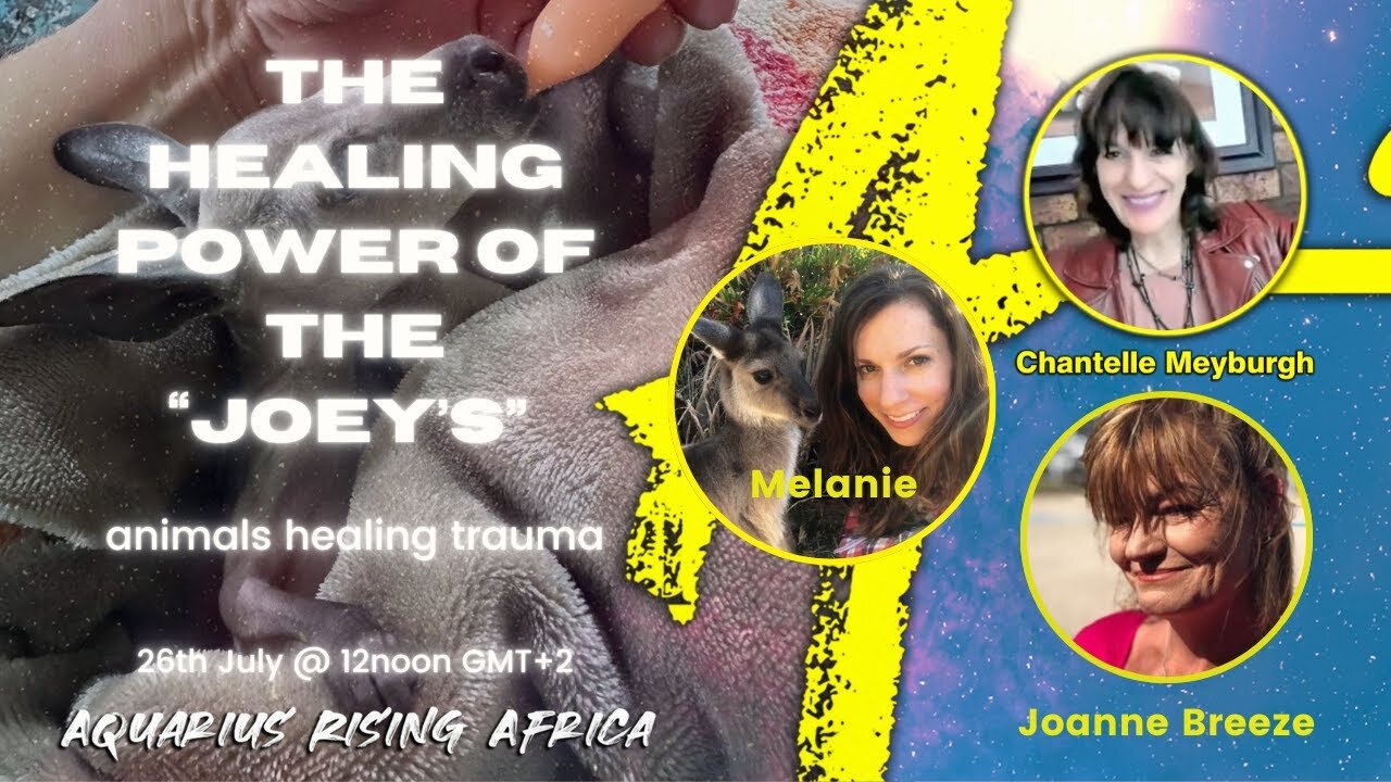 THE HEALING POWER OF "THE JOEYS" ... ANIMLS HEALING TRAUMA - with JOANNE & MELANIE