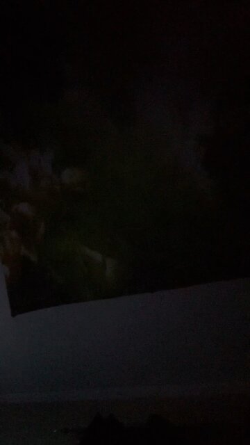 The smear campaign false accusations