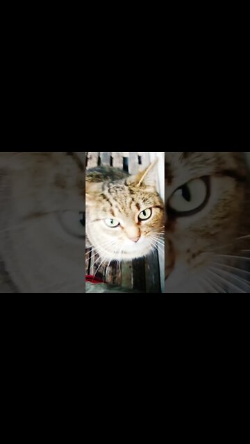 😽Fú¢k ✓🖕 m👁️Püõō•~•Zeei🌬️😻👑