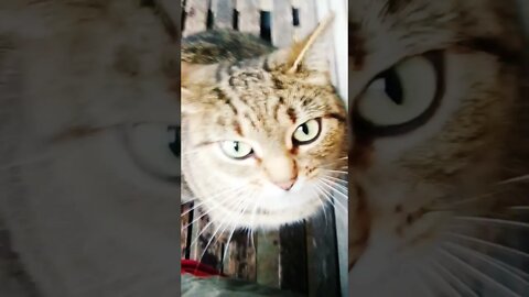 😽Fú¢k ✓🖕 m👁️Püõō•~•Zeei🌬️😻👑