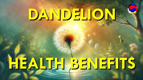 Health Benefits of Dandelion and How To Eat