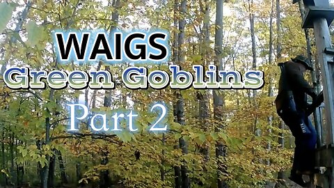 WAIGS Green Goblins Part 2