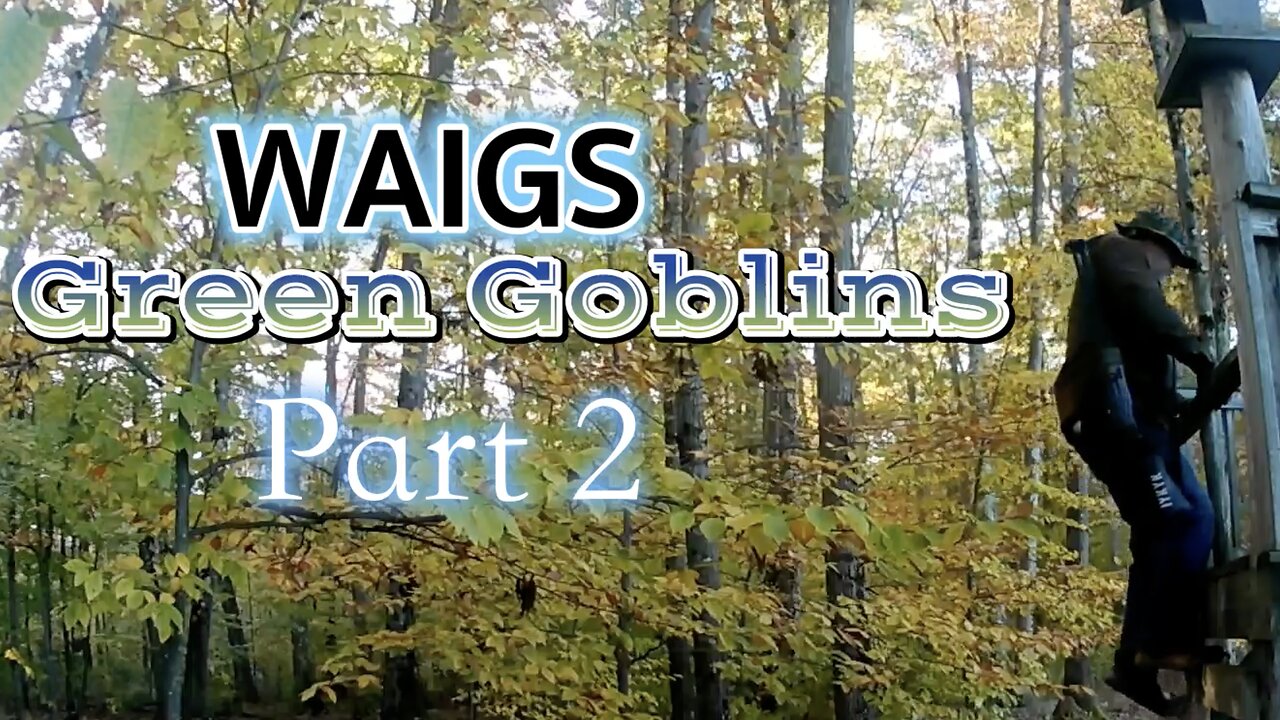 WAIGS Green Goblins Part 2